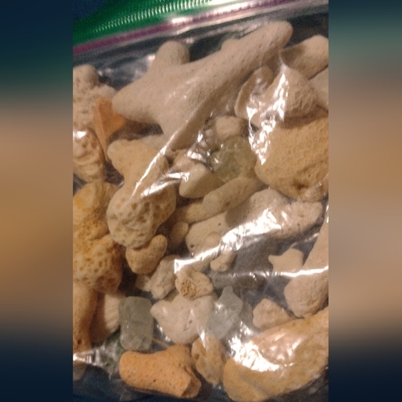 Corals and Beach Gems - Picture 5 of 7